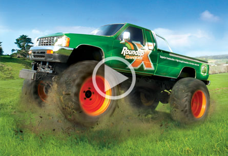 MONSTER SALES INCREASE